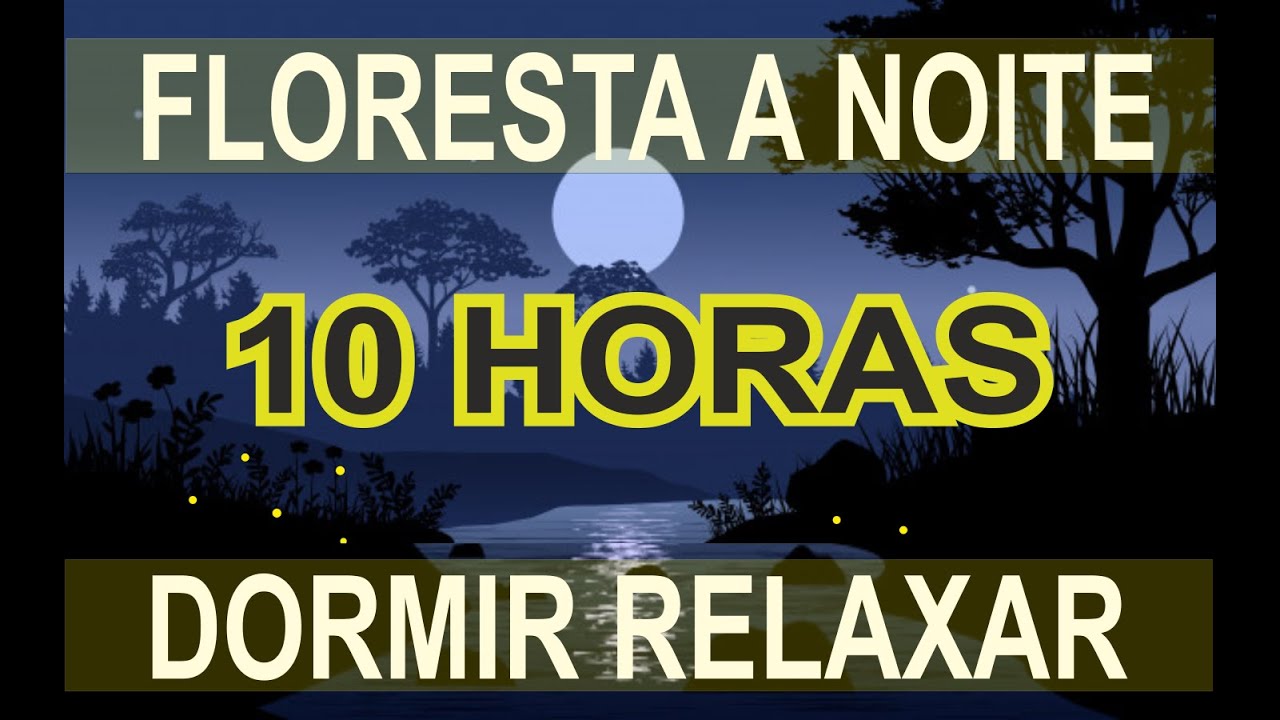 Som da Floresta a Noite - Relaxar, Dormir 