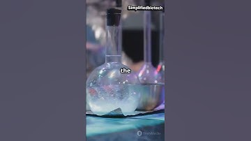 paper chromatography #chromatography #csirnetjune2025 #csirlifescience #dbtjrf #dbt2026 #csirnet