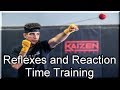 NEW Reflexes and Reaction Time Training With AcuraBall - Boxing Ball, Boxing drills, Reflex training