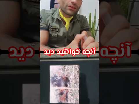 راه حل کشف گنجینه های باستانی       