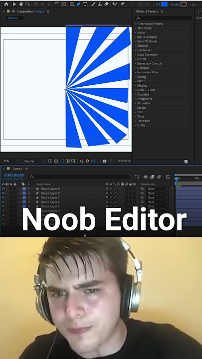 noob vs pro vs LEGEND motion designer