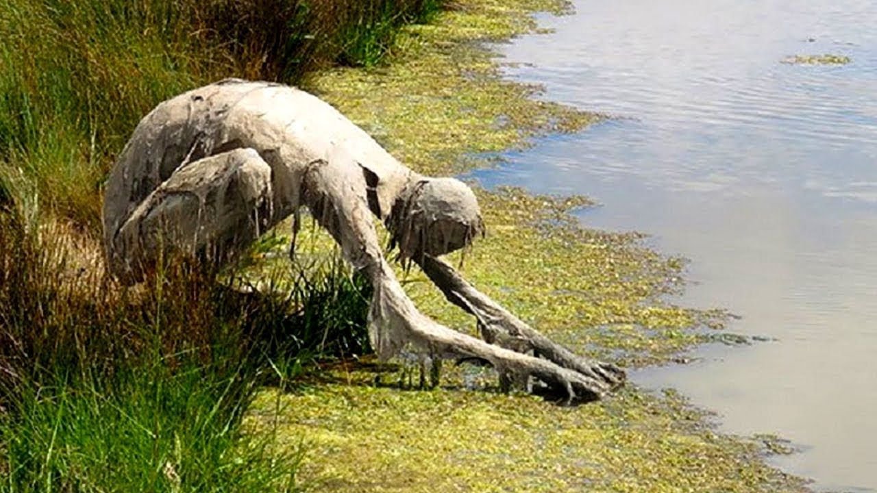 AS CRIATURAS MAIS BIZARRAS E ASSUSTADORAS JÁ VISTAS NAS CÂMERAS QUE IMPRESSIONARAM CIENTISTAS