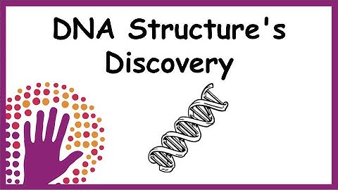 DNA Structure
