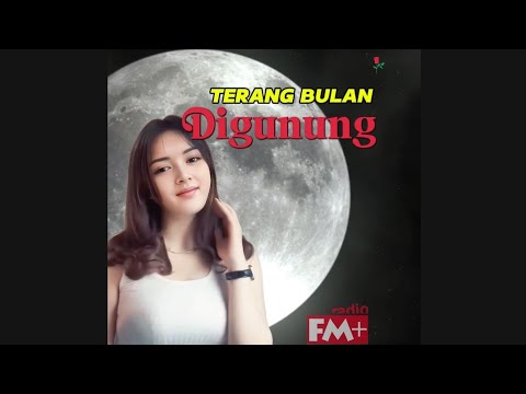 Lagu Mandarin Koplo,TERANG BULAN DI GUNUNG _ ( Titik Sandora ) - Cover : Karina Amoy