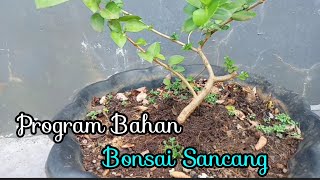 Program Gerak Dasar Sancang