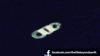 SUPER FAST RING UFO PASSES SUN 2013, WITH SIMILAR SIGHTINGS AND TETHER INCIDENT COMPARISON
A look at the recent sighting where a ring UFO passes through the suns corona. We also compare this to other similar ring UFO sightings at the sun and the UFO from the STS 75 tether incident.
Music by - MachinimaSound
Track: Streets of the Unknown
DONT FORGET TO HIT THE LIKE BUTTON, IT HELPS NEW PEOPLE FIND THE CHANNEL AND WE REALLY APPRECIATE IT. THANKS.
SUBSCRIBE HERE - http://www.youtube.com/user/TheLifebeyondearth?feature=mhee
LIKE OUR NEW FACEBOOK PAGE HERE - http://www.facebook.com/thelifebeyondearth
SEND YOUR UFO VIDEOS TO: thelifebeyondearth@hotmail.com
AND WE WILL FEATURE THEM ON OUR CHANNEL SUPER FAST RING UFO PASSES SUN 2013, WITH SIMILAR SIGHTINGS AND TETHER INCIDENT COMPARISON
