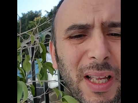 لطغي العبدلي يكلاشي بقوة سلام مسيو و سامي الفهري