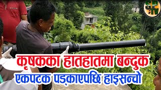 कृषकका हातहातमा बन्दुक, एक पटक पड्काएपछि हाइसन्चो | Moneky Gun | Aaajako news | news live