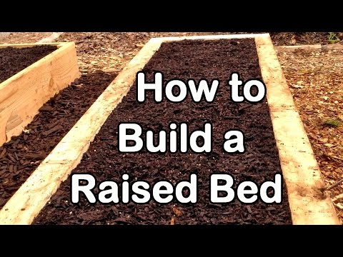 Video: Hillside Garden Beds: creación de camas elevadas en terreno inclinado