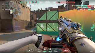 4K Clove Bind Spam Sa Viper