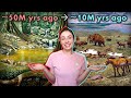 Ice Age and Climate Change Quiz