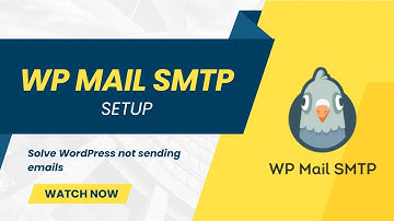 How to setup WP Mail SMTP plugin by WP Forms, solve WordPress form not sending email