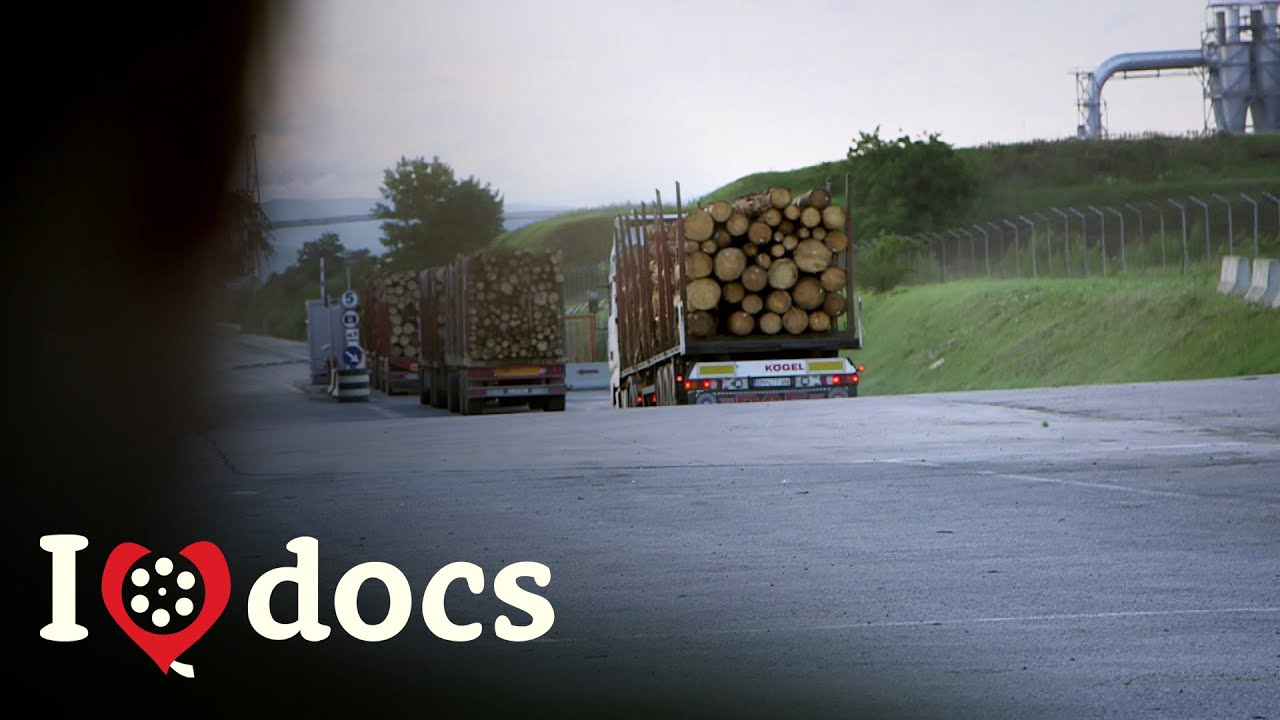 The Wood Industry's Secret Scandal - A Business Against Nature - Crime Documentary (2020)