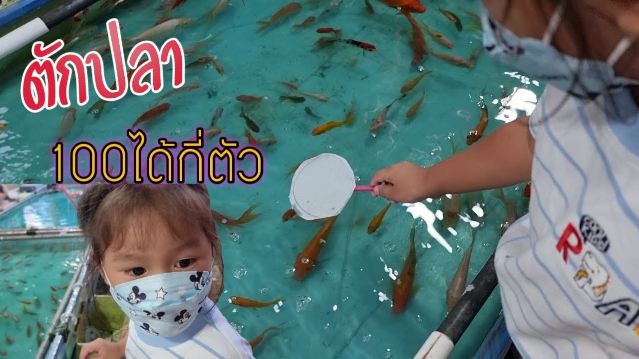 ตักปลางานวัด ช้อนปลา 100 ได้กี่ตัว!! | น้องเดล
