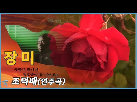 조덕배 장미 연주곡 1985