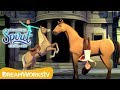 Secret Circus | SPIRIT RIDING FREE