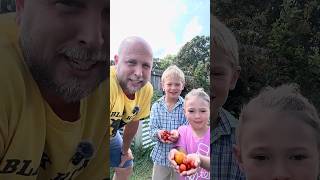 Get Dad a raised garden bed for Father’s Day from Land Guard