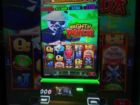 Fortune Ox | Marco on field 🗿 #cards #roobet #casino #blackjack #youtube #shorts #shortsfeed #youtuber