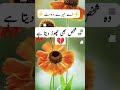 A1 sad status || Best Urdu Poetry WhatsApp Status || Urdu Shayari Status |