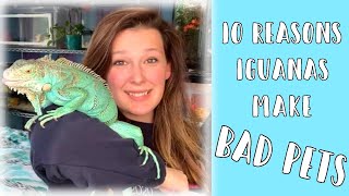 10 Reasons Iguanas Make BAD Pets! // Is a Green Iguana the right pet for you?