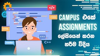 How to Do Assignments Easily  | Student Tips | Sinhala | Academy.LK