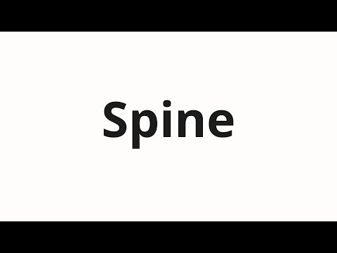 How to pronounce Spine