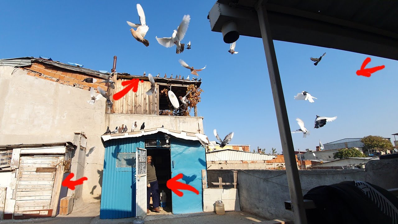 KAÇAK BÖYLE YAKALANIR DEDİK KRALINI YAKALADIK BİLEZİKTEN SAHİBİNE ULAŞTIK ADRESE TESLİM ETTİK