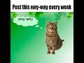 Post this мяу-мяу every week