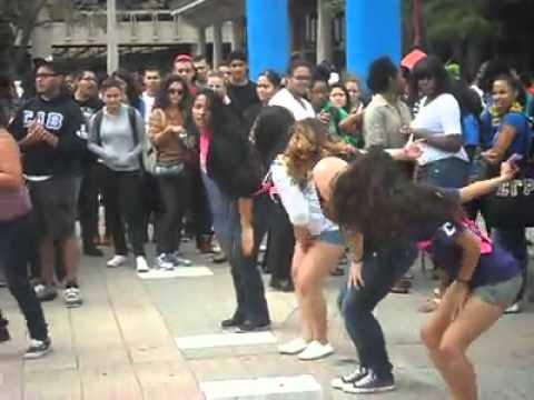 UIC Gammas Meet the Greeks 2012