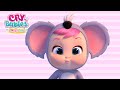 🐨 KOALI 🐨 CRY BABIES 💧 MAGIC TEARS 💕 Videos for CHILDREN in English