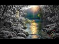 Serene Nature River Flow for Calm Night Sleep