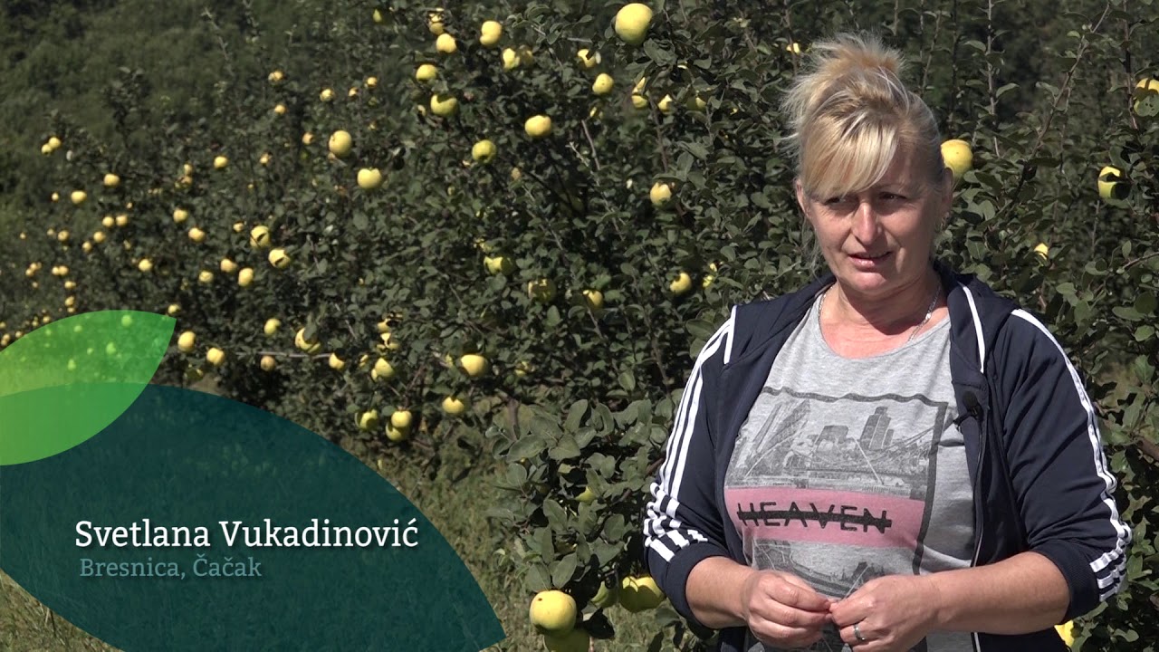 Naša priča ep. 164 12.10.2018. - Proizvodnja dunje, Bresnica kod Čačka