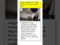hospital bed paina dog😂#ShockingNews #HospitalNegligence #ViralVideo #WorldNews #SadReality