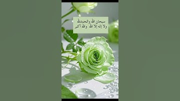 سورة المنافقون #القران #المصحف #القران_الكريم #لايك #اكسبلور