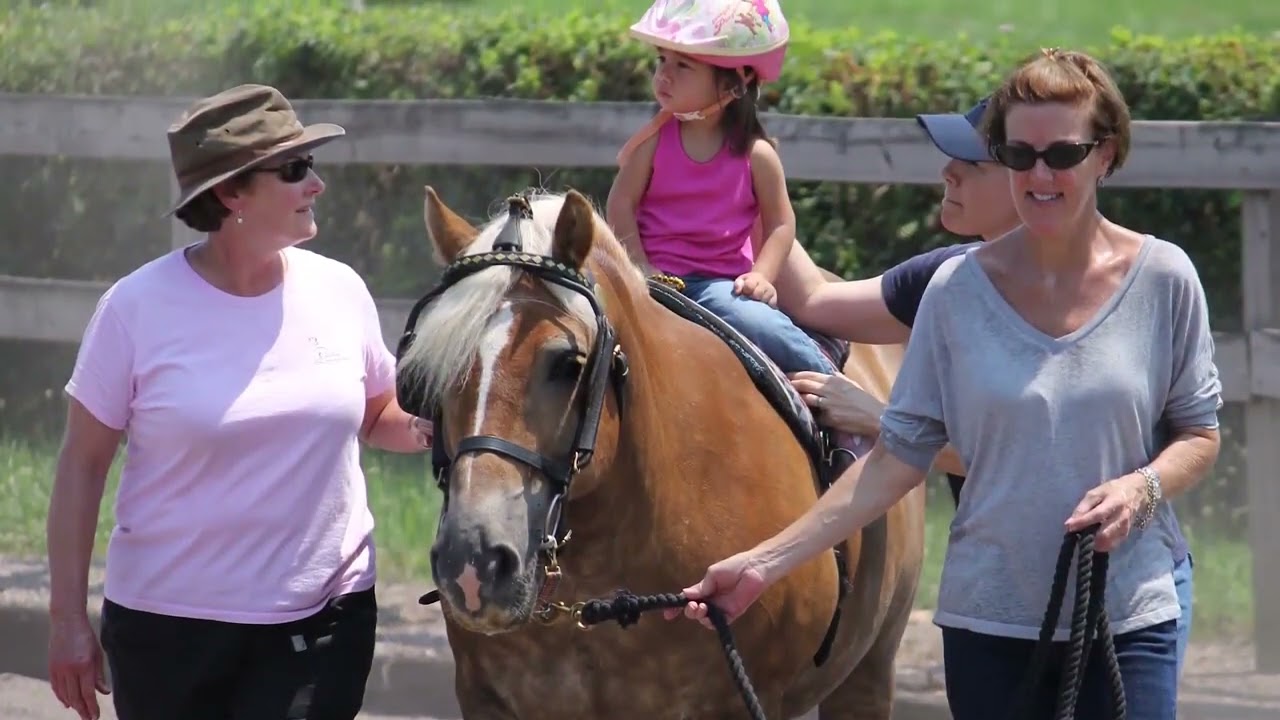 Andy's Arlin, Horse Stars Hall of Fame