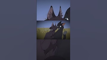 Traitor | Nightcloud AU edit | #edit#warriors