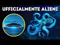 Gli scienziati suggeriscono che i polpi provengano dallo spazio esterno.