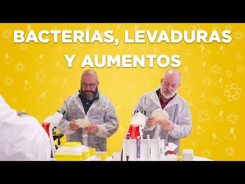 Video: Uso De Bacterias 