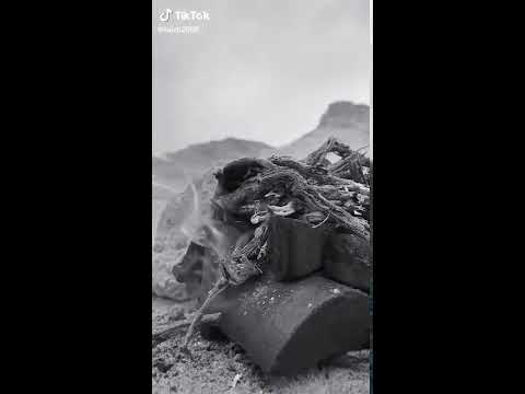 ابيات شعر جميله قصايد جميله