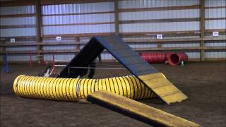 HP071711Standard.wmv