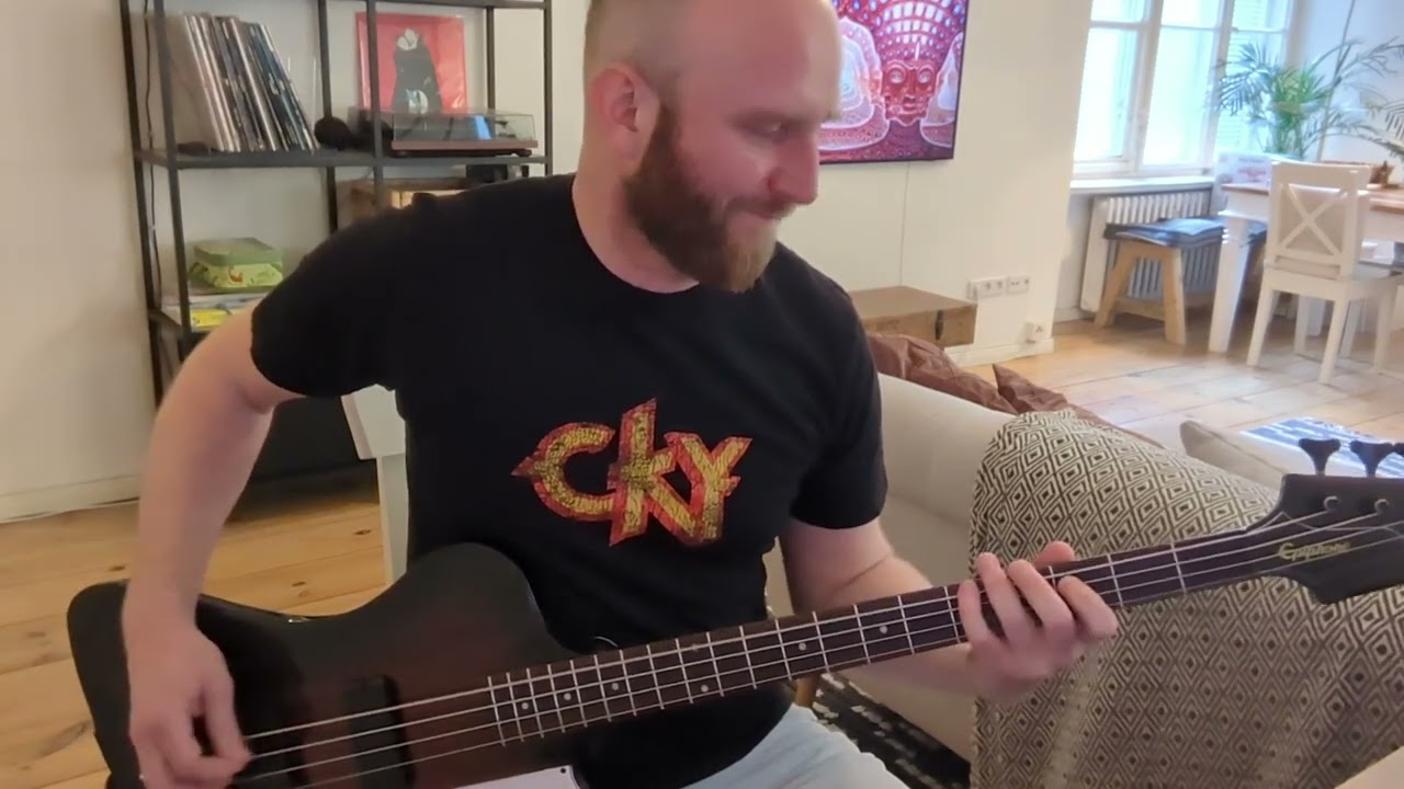 TOOL | Swamp Song ~ Bass cover