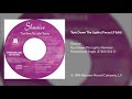 Shanice - Turn Down The Lights (Focus LP Edit)