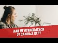 Как не отвлекаться от важных дел? – Шоу Картаева и Махарадзе