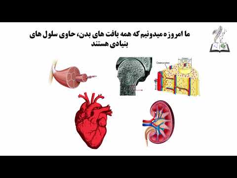 سلولهای بنیادی Stem Cell قسمت اول