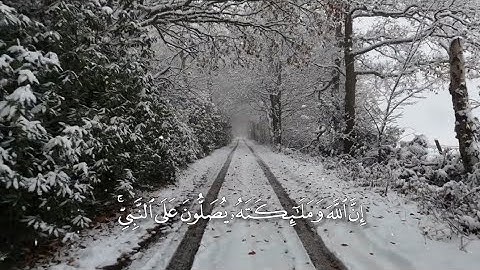 سورة الاحزاب آية 56 #القرآن_الكريم 