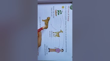 Class-4 Chapter-1 (Green Plants- The Food producers) Part-5 By: Miss Insha