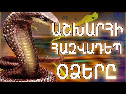 Video: Ամեն ինչ օձերի մասին. Օձի փաստեր և տեղեկություններ