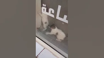 اجبر بخاطر كل شخص يقول يارب اللهم آمين النبي محمد الرزق الحلال 