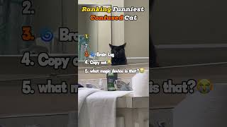 Ranking the Funniest Clingy Cats 🐱 #ranking  #funny  #cat #confused