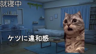 【猫ミーム】一気見肛門周囲膿症から痔ろうになったオジサンの末路　猫ミーム　猫マニ　痔